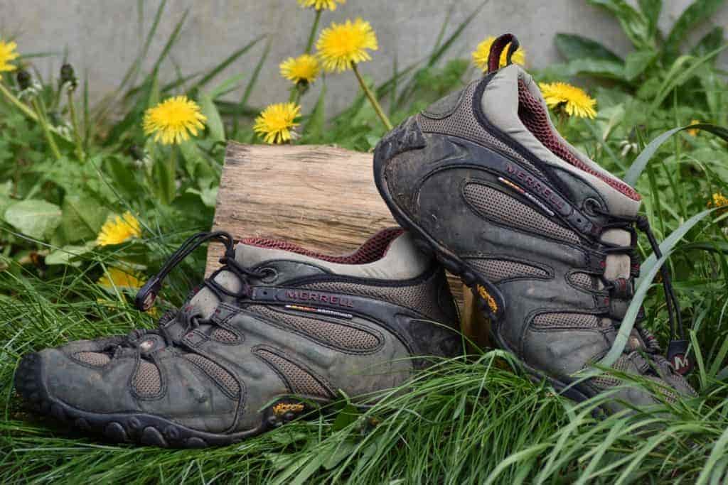 Merrell Chameleon Prime Stretch Reviews