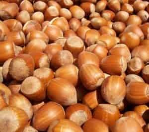 Hazelnuts