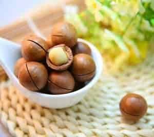 Macadamia Nuts