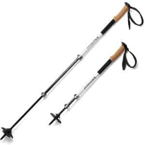 Black Diamond Alpine Carbon Trekking Pole