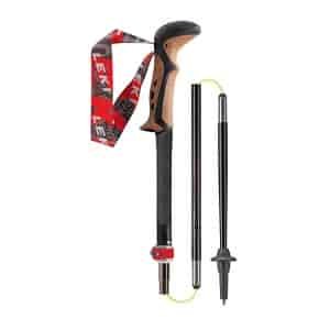 Leki Micro Vario Ti Cortec Trekking Poles