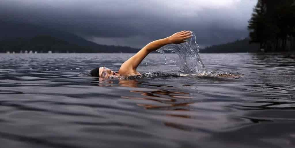 Wild swimmer in lake