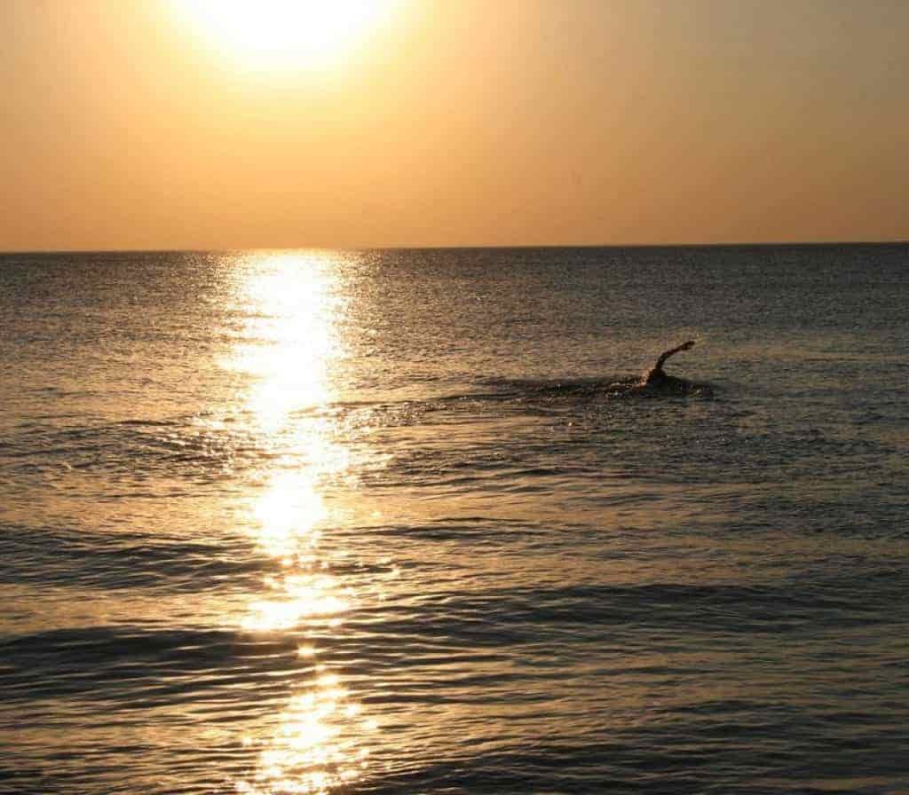 Wild swimming sun rise reflections