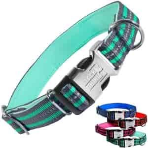 Black Rhino Hybrid Striped Dog Collar