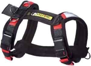 Urban Trail Padded Adjustable Dog Harness