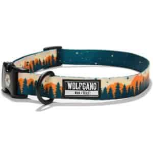 Wolfgang Man & Beast Puppy Dog Collar