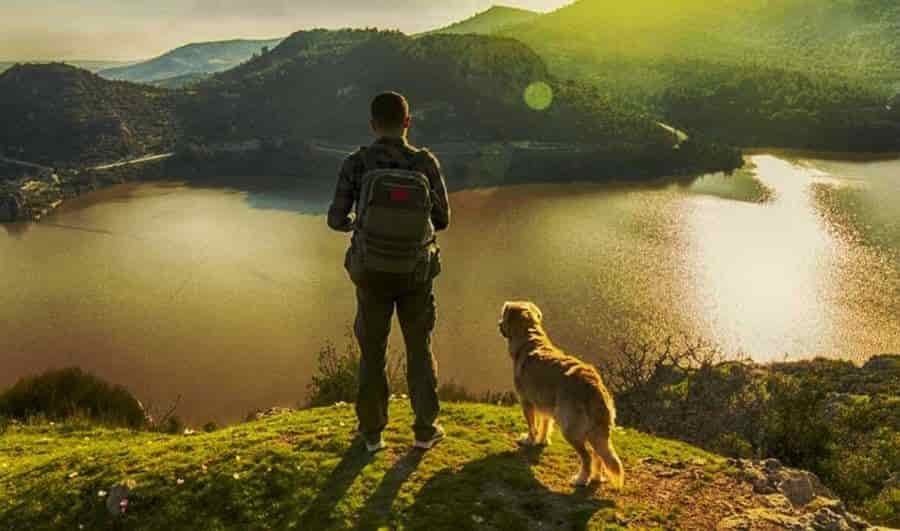 top dog collar for hiking