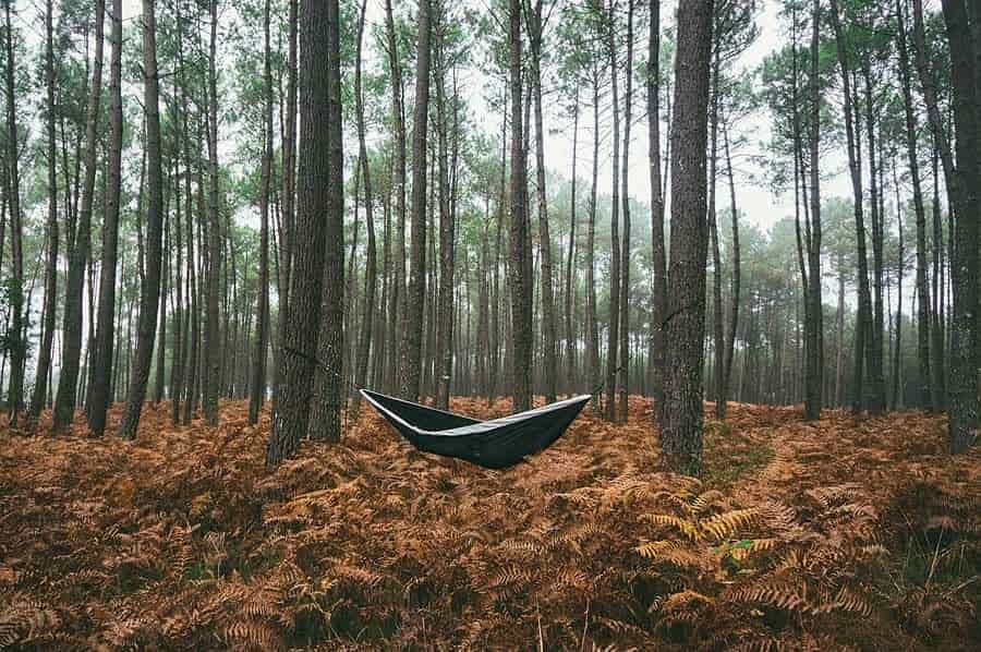 Finding a place to hang your hammock vs pitching a tent
