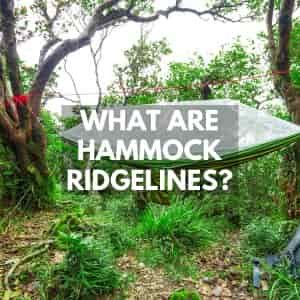 Hammock Ridgelines
