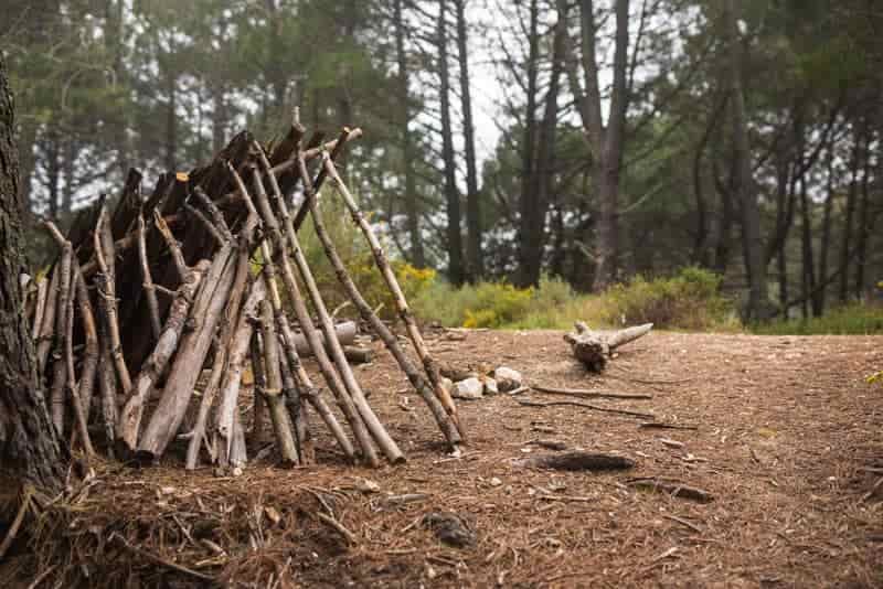 bushcraft shelter made from tree branches