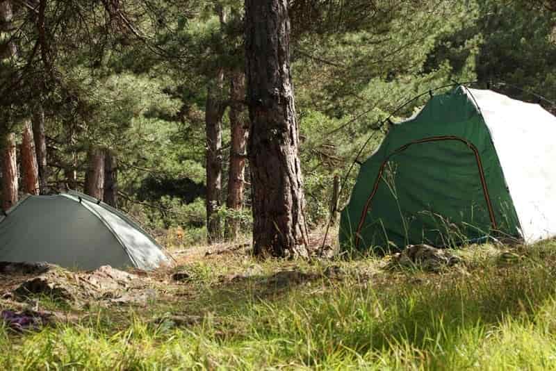 tent hidden from thieves in the woods.