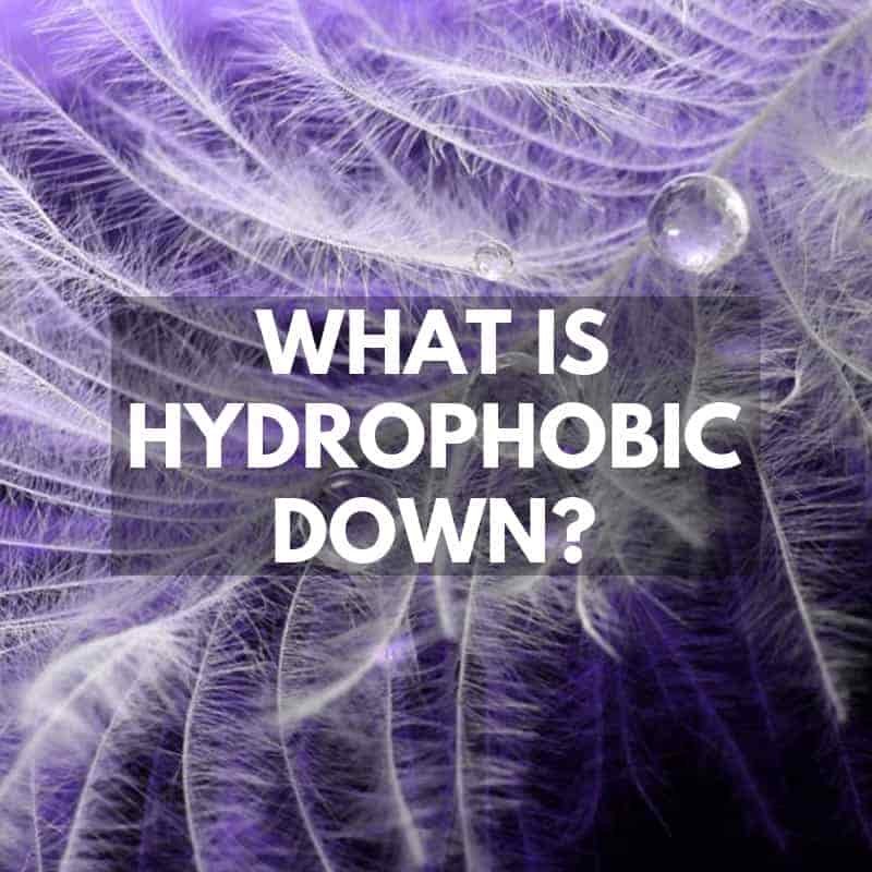 What is Hydrophobic Down