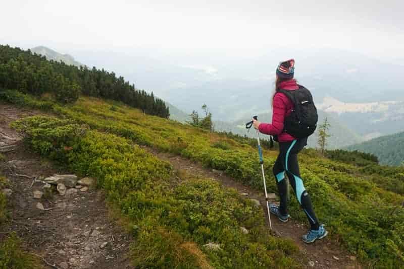 One vs two trekking poles for hiking