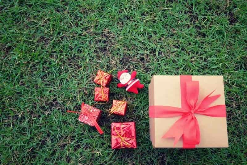best hiking gift for her