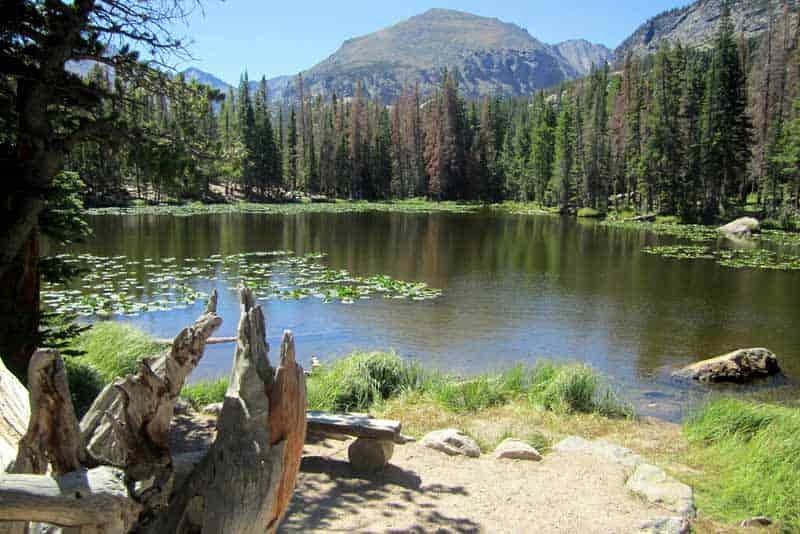 Where To Practice Bushcraft Colorado