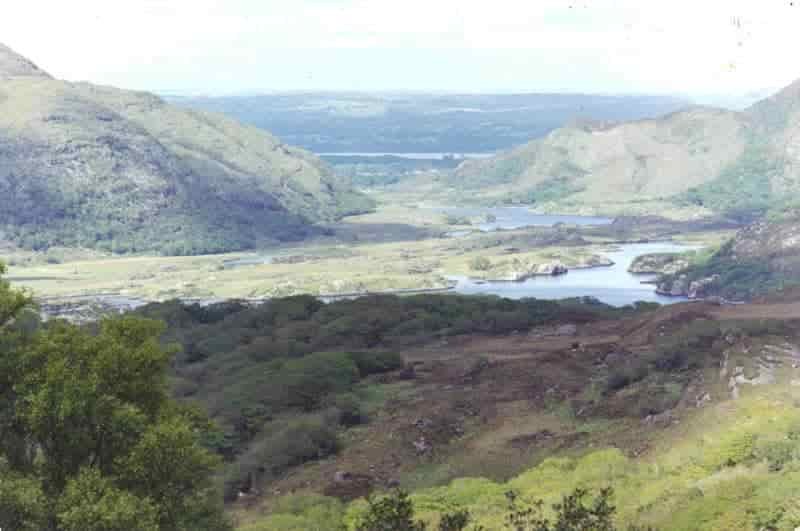 Where To Practice Bushcraft UK