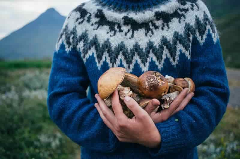 foraging for food bushcraft skill