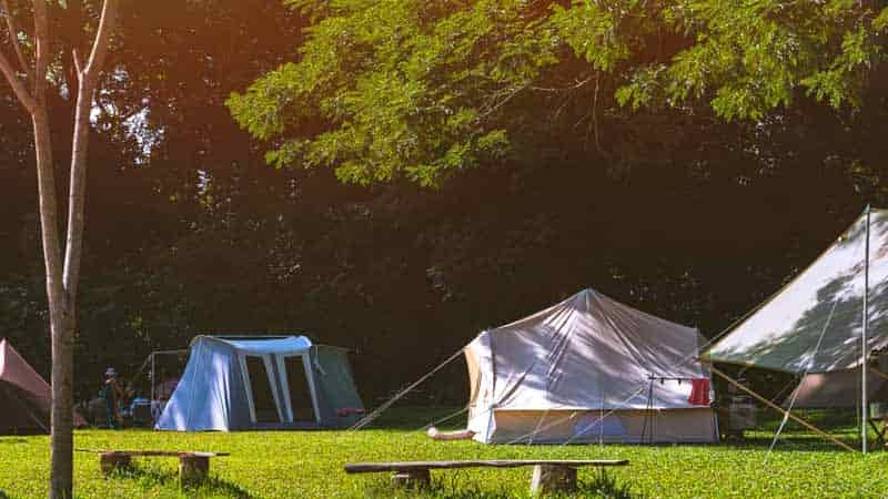 cabin tents with straight walls and lots of space