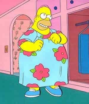 poncho homer simpson