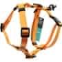 Best Waterproof Dog Harness
