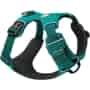 Best Dog Harness for Hiking